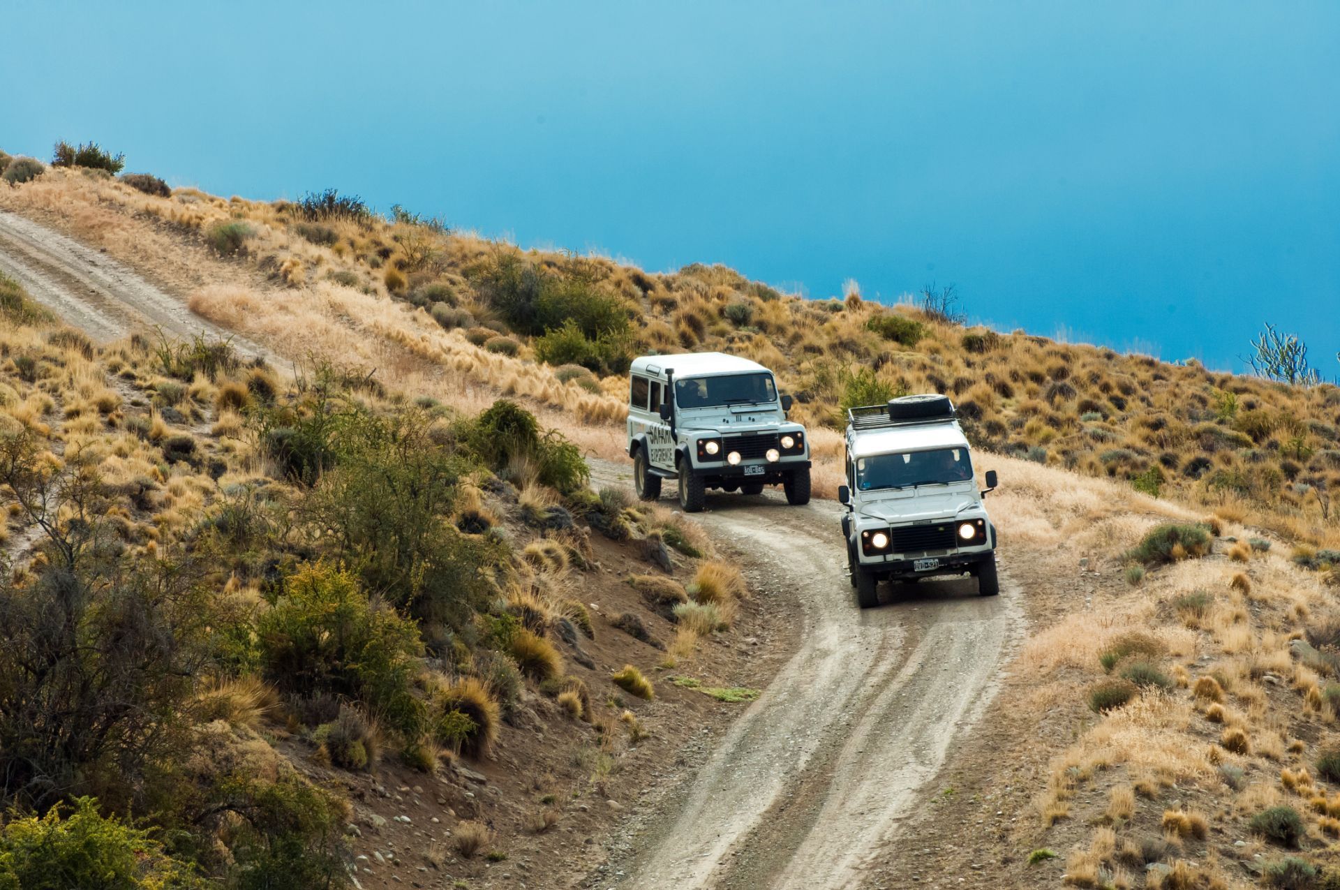 Safari Experience — El Calafate