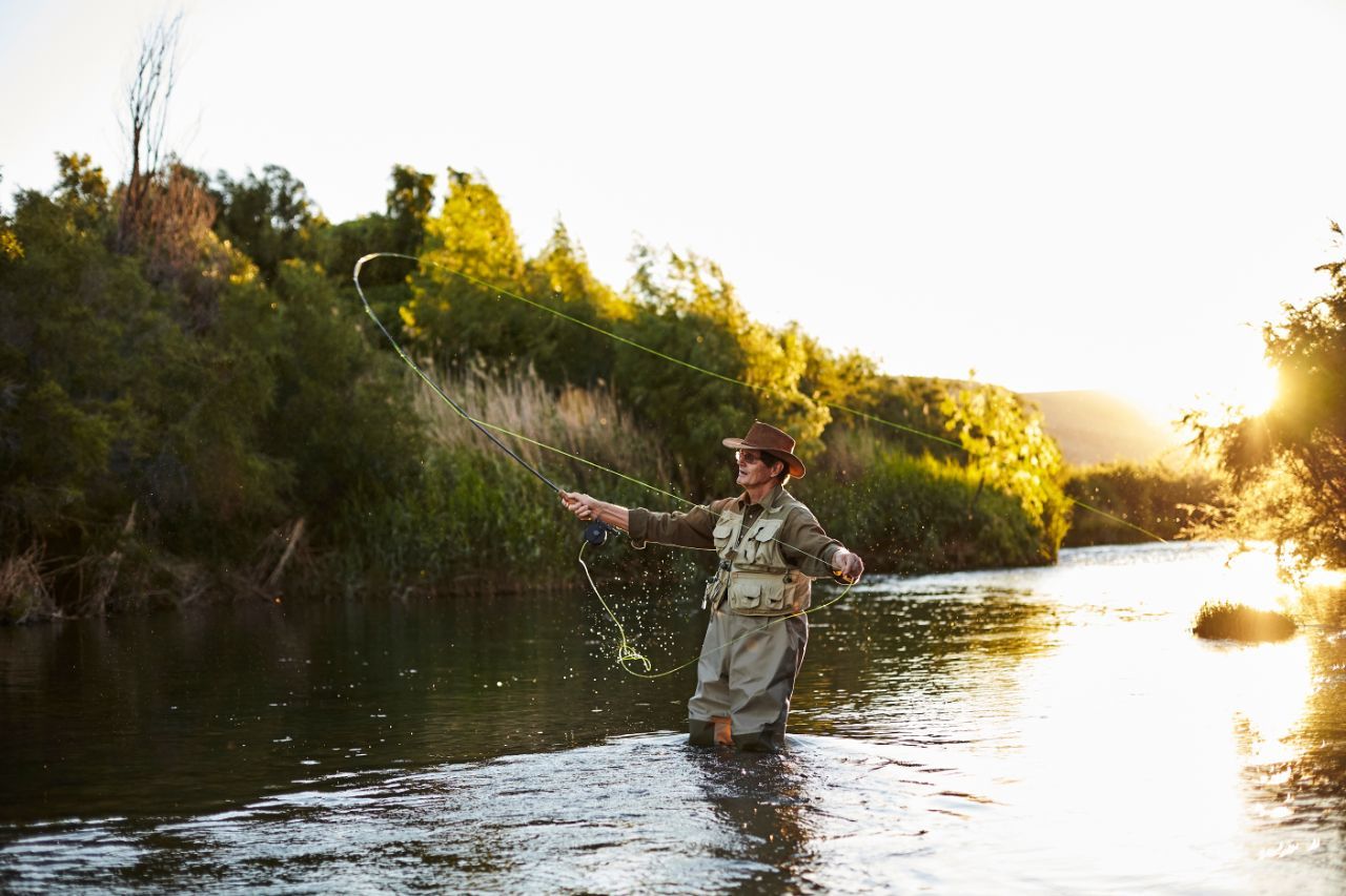 Buscando el Salmon Chinook