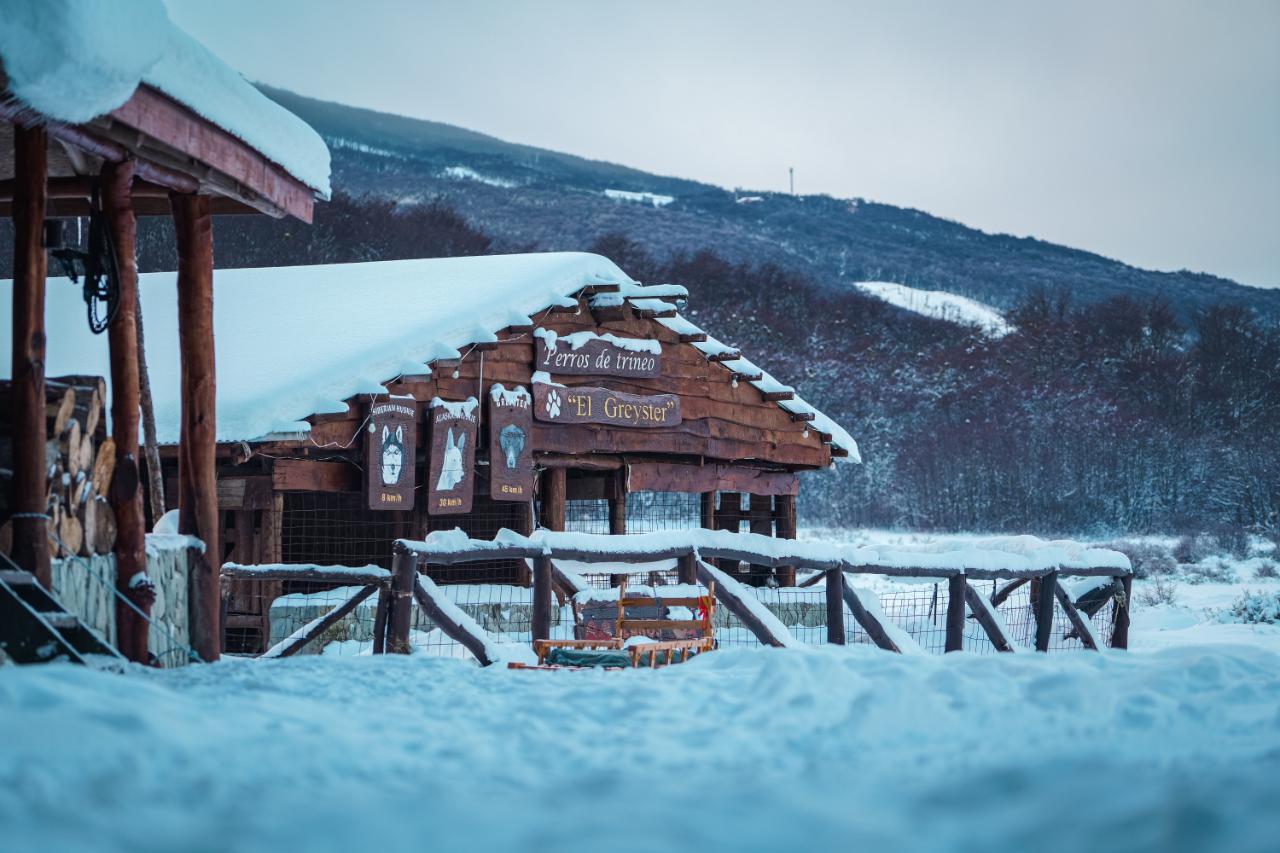 Full Day Nieve