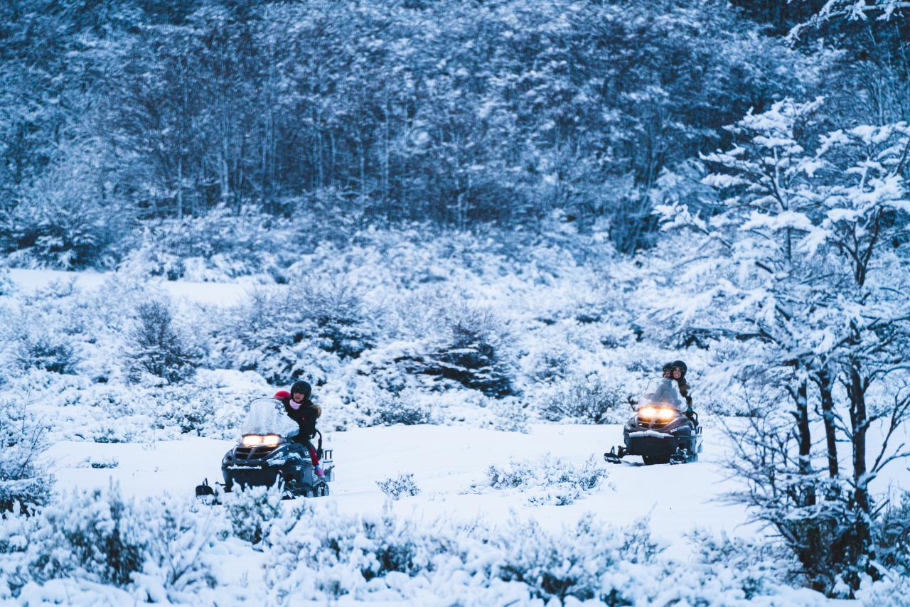 Full Day Nieve