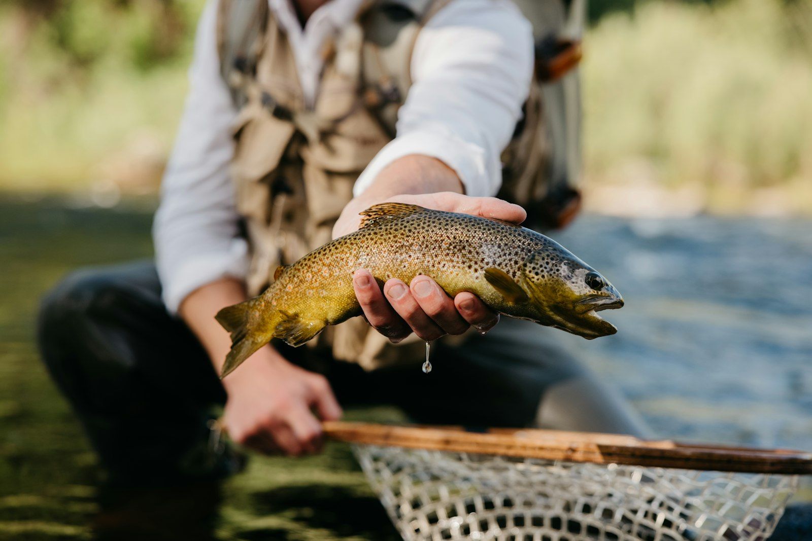 En Busca del Salmón Chinook · 5 días 3