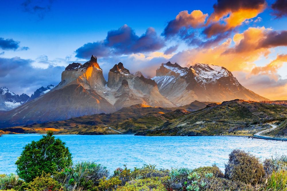 Visit Patagonia Website